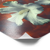 Hibiscus Flowers Dreams komen uit waar Inspirerend Foto Afdruk (Hoek)