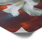 Hibiscus Flowers Dreams komen uit waar Inspirerend Poster (Hoek)