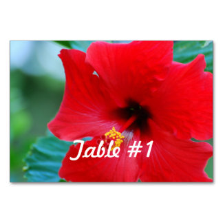 Hibiscus Flowers Kaart
