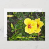 Hibiscus Flowers of Hawaii Briefkaart (Voorkant / Achterkant)