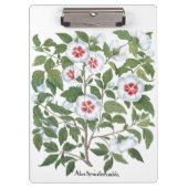  Hibiscus Flowers van Basilius Besler Klembord (Voorkant)