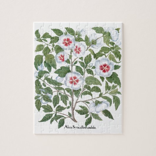  Hibiscus Flowers van Basilius Besler Legpuzzel (Verticaal)