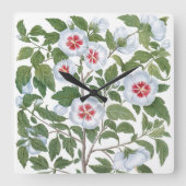  Hibiscus Flowers van Basilius Besler Vierkante Klok (Voorkant)