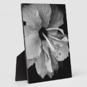 Hibiscus Flyer Fotoplaat (Zijkant)