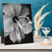 Hibiscus Flyer Fotoplaat (Zijkant)