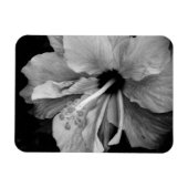 Hibiscus Flyer Magneet (Horizontaal)