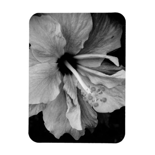 Hibiscus Flyer Magneet (Verticaal)