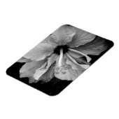 Hibiscus Flyer Magneet (Linkerzijde)