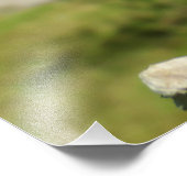 Hibiscus Foto Afdruk (Hoek)