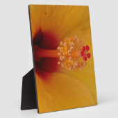 Hibiscus Fotoplaat (Zijkant)