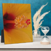 Hibiscus Fotoplaat (Zijkant)