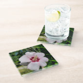 Hibiscus Glazen Onderzetter (Schuin)