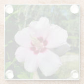 Hibiscus Glazen Onderzetter (Achterkant)