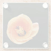 Hibiscus Glazen Onderzetter (Achterkant)