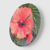 Hibiscus Gloed Grote Klok (Hoek)