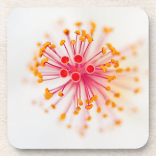 Hibiscus Hard Plastic Onderzetters (set van 6)