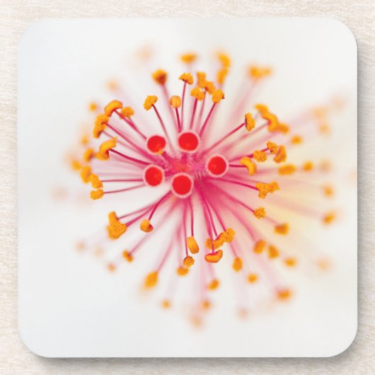 Hibiscus Hard Plastic Onderzetters (set van 6) (Voorkant)