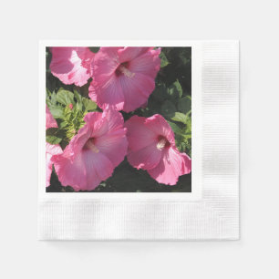Hibiscus Hardy Servet