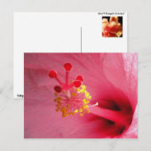 hibiscus hart briefkaart (Voorkant / Achterkant)