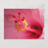 hibiscus hart briefkaart (Voorkant)
