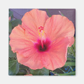 HIBISCUS HOME MAGNEET (Voorkant)