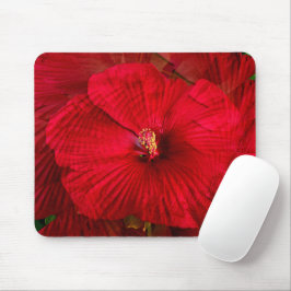Hibiscus houdt van..... muismat