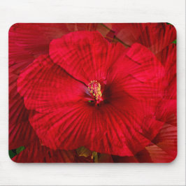 Hibiscus houdt van..... muismat
