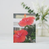 Hibiscus House Plant Briefkaart (Staand voorkant)