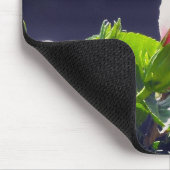 Hibiscus in Bright Sunlight Muismat (Hoek)