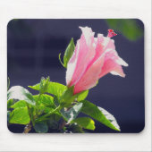 Hibiscus in Bright Sunlight Muismat (Voorkant)