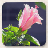 Hibiscus in fel licht drankjes onderzetter (Voorkant)
