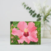 Hibiscus in Hawaii roze koraalkleur Briefkaart (Staand voorkant)