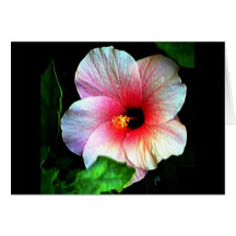 Hibiscus jGibney Het Museum Zazzle