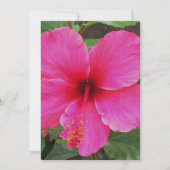 Hibiscus Kaart (Voorkant)