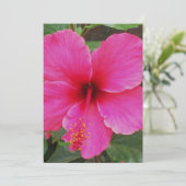 Hibiscus Kaart (Staand voorkant)