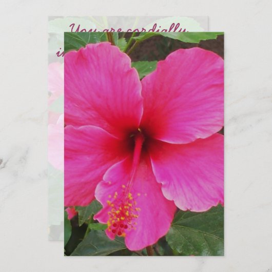 Hibiscus Kaart (Voorkant / Achterkant)