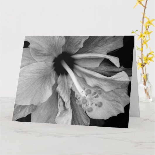 Hibiscus Kaart (Gele Bloem)