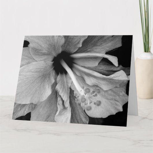 Hibiscus Kaart (Voorkant)