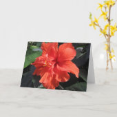 Hibiscus Kaart (Gele Bloem)
