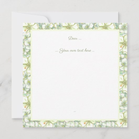 Hibiscus & kant WIT Kaart (Achterkant)