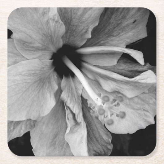 Hibiscus  kartonnen onderzetters (Voorkant)