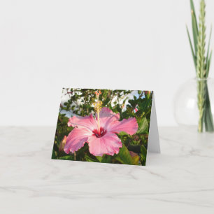 Hibiscus - L Kaart