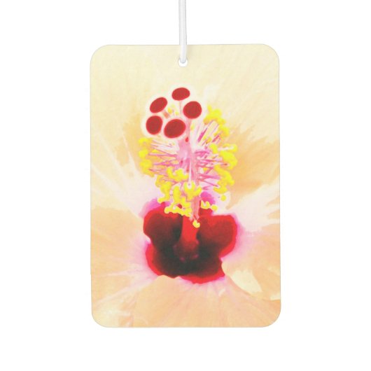 Hibiscus Luchtverfrisser (Voorkant)