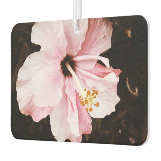 hibiscus luchtverfrisser (Links)