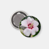Hibiscus Magneet (Voorkant / Achterkant)