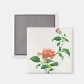 Hibiscus Magneet (Voorkant / Achterkant)