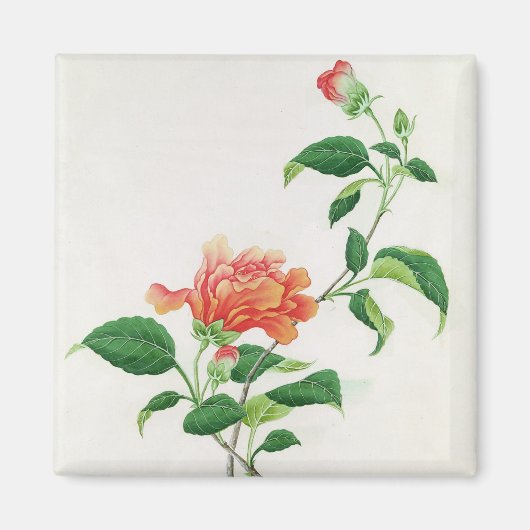 Hibiscus Magneet (Voorkant)