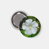 Hibiscus Magneet (Voorkant / Achterkant)