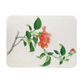 Hibiscus Magneet (Horizontaal)