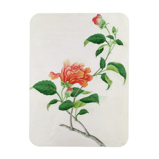 Hibiscus Magneet (Verticaal)